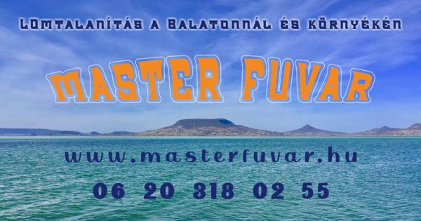 Lomtalanítás Balatonberény - Master Fuvar