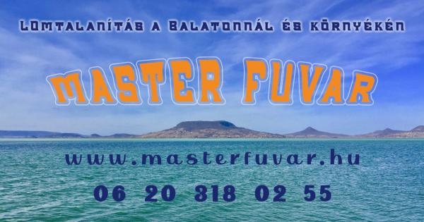 Lomtalanítás Balatonfenyves - Master Fuvar