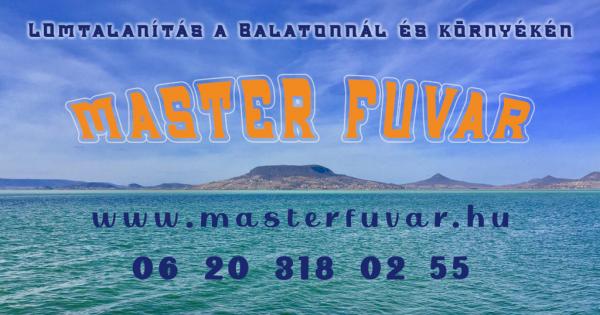 Lomtalanítás Balatonőszöd - Master Fuvar
