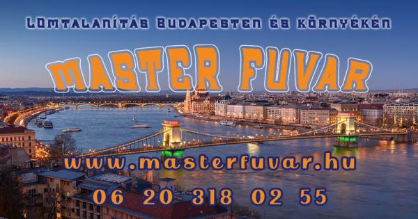 Lomtalanítás Budapest - Master Fuvar