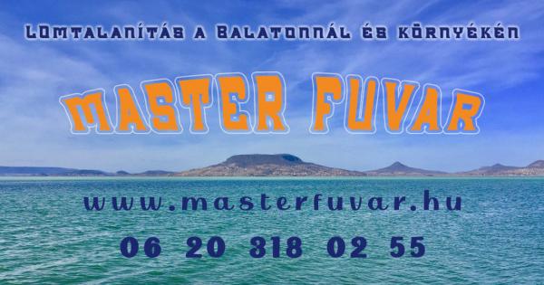 Lomtalanítás Örvényes - Master Fuvar