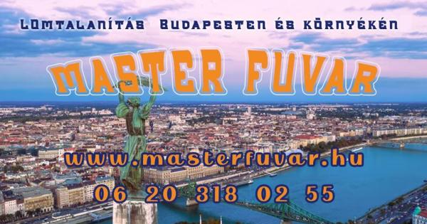Lomtalanítás Veresegyház - Master Fuvar