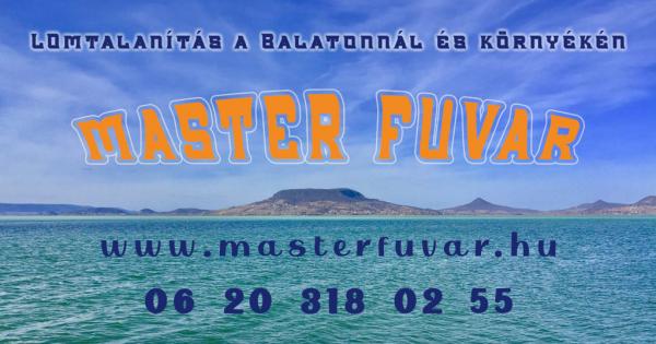 Lomtalanítás Zamárdi - Master Fuvar